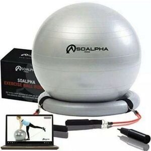 NIB Soalpha Silver Exercise Ball Bundle